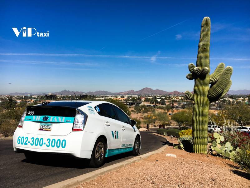 VIP Taxi Parked on a Desert Road with a Large Cactus