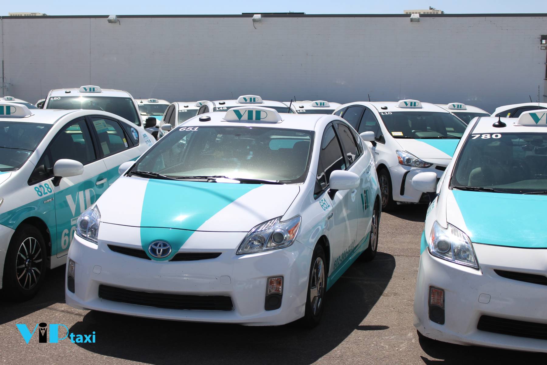 VIP Taxi Fleet for Special Event Transportation During Spring Training